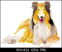 Click image for larger version. 

Name:	Rough_collie.jpg 
Views:	113 
Size:	62.4 KB 
ID:	116060
