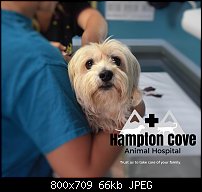 Click image for larger version. 

Name:	Hampton Cove Mockup.jpg 
Views:	74 
Size:	66.1 KB 
ID:	118107