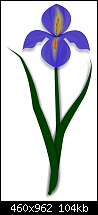 Click image for larger version. 

Name:	scribble iris.png 
Views:	119 
Size:	104.2 KB 
ID:	118963