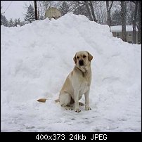 Click image for larger version. 

Name:	ben-snow.jpg 
Views:	311 
Size:	24.1 KB 
ID:	12034