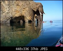 Click image for larger version. 

Name:	elephant-cove.jpg 
Views:	48 
Size:	37.2 KB 
ID:	120742