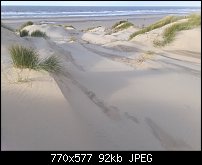 Click image for larger version. 

Name:	dunes again.jpg 
Views:	242 
Size:	92.1 KB 
ID:	121229