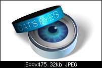 Click image for larger version. 

Name:	cat2.jpg 
Views:	90 
Size:	32.2 KB 
ID:	121592