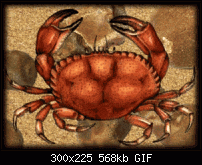 Click image for larger version. 

Name:	crab-opti.gif 
Views:	43 
Size:	567.8 KB 
ID:	121761