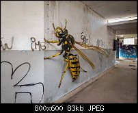 Click image for larger version. 

Name:	odeith-7.jpg 
Views:	103 
Size:	82.9 KB 
ID:	121806