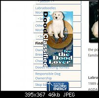 Click image for larger version. 

Name:	goldendoodles.jpg 
Views:	72 
Size:	46.2 KB 
ID:	121834