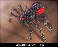 Click image for larger version. 

Name:	spider4_mod.JPG 
Views:	180 
Size:	47.3 KB 
ID:	12335
