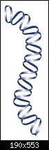 Click image for larger version. 

Name:	DNA_Brush.jpg 
Views:	4710 
Size:	21.7 KB 
ID:	12380