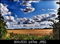 Click image for larger version. 

Name:	wheat-field.jpg 
Views:	305 
Size:	146.7 KB 
ID:	125014