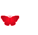 Name:  RedButterfly22.gif
Views: 240
Size:  12.9 KB