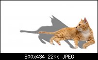 Click image for larger version. 

Name:	cat3.jpg 
Views:	114 
Size:	22.1 KB 
ID:	125578