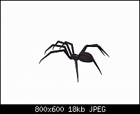 Click image for larger version. 

Name:	spider 1.jpg 
Views:	121 
Size:	18.0 KB 
ID:	126069