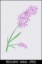 Click image for larger version. 

Name:	flowers.jpg 
Views:	107 
Size:	64.1 KB 
ID:	130704