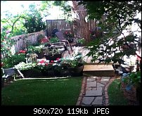 Click image for larger version. 

Name:	sideyard.jpg 
Views:	137 
Size:	118.5 KB 
ID:	131700
