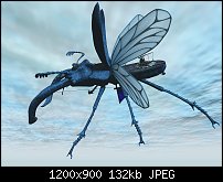 Click image for larger version. 

Name:	stag-beetle-flyer.jpg 
Views:	57 
Size:	132.2 KB 
ID:	132631