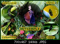 Click image for larger version. 

Name:	butterfly.jpg 
Views:	271 
Size:	140.1 KB 
ID:	13878