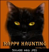 Click image for larger version. 

Name:	blkcat_haunting.jpg 
Views:	681 
Size:	44.4 KB 
ID:	14038