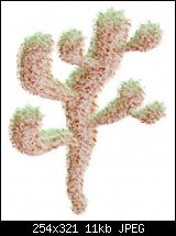Click image for larger version. 

Name:	cactus2.jpg 
Views:	1025 
Size:	10.7 KB 
ID:	14078
