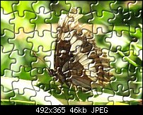 Click image for larger version. 

Name:	Bpuzzle.jpg 
Views:	491 
Size:	45.9 KB 
ID:	149