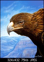 Click image for larger version. 

Name:	goldeneagle_painting_002sm.jpg 
Views:	353 
Size:	74.6 KB 
ID:	14938