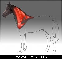 Click image for larger version. 

Name:	Vet._Horse_image.jpg 
Views:	393 
Size:	70.8 KB 
ID:	16913