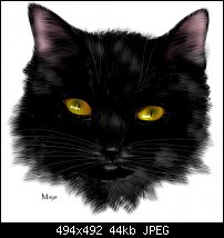 Click image for larger version. 

Name:	blackcat1.jpg 
Views:	304 
Size:	43.5 KB 
ID:	16958
