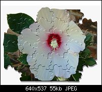 Click image for larger version. 

Name:	Flower_puzzle.jpg 
Views:	225 
Size:	55.4 KB 
ID:	1723