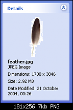 Click image for larger version. 

Name:	feather.png 
Views:	350 
Size:	7.1 KB 
ID:	17505
