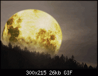 Click image for larger version. 

Name:	moon.gif 
Views:	217 
Size:	25.9 KB 
ID:	17531