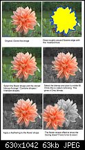 Click image for larger version. 

Name:	b_w_flower.jpg 
Views:	284 
Size:	62.7 KB 
ID:	18014