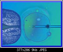 Click image for larger version. 

Name:	embryo.jpg 
Views:	250 
Size:	9.5 KB 
ID:	1824