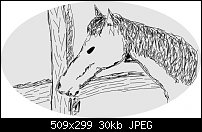 Click image for larger version. 

Name:	horse_sketch.jpg 
Views:	223 
Size:	29.6 KB 
ID:	18289