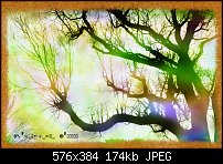 Click image for larger version. 

Name:	TREE-STAMP.jpg 
Views:	427 
Size:	174.3 KB 
ID:	18772