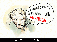 Click image for larger version. 

Name:	badhairday.gif 
Views:	281 
Size:	31.8 KB 
ID:	18874