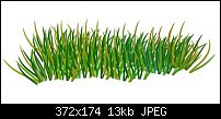 Click image for larger version. 

Name:	grass.jpg 
Views:	282 
Size:	13.4 KB 
ID:	19395