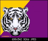 Click image for larger version. 

Name:	Tiger.jpg 
Views:	205 
Size:	92.1 KB 
ID:	19972