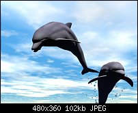 Click image for larger version. 

Name:	dolphin.jpg 
Views:	220 
Size:	102.0 KB 
ID:	20113