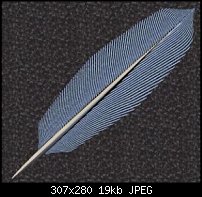 Click image for larger version. 

Name:	A Feather.jpg 
Views:	156 
Size:	18.6 KB 
ID:	20386