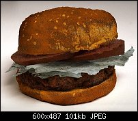 Click image for larger version. 

Name:	burger1.jpg 
Views:	192 
Size:	101.1 KB 
ID:	20431