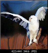 Click image for larger version. 

Name:	snow owl.jpg 
Views:	3067 
Size:	34.1 KB 
ID:	20569