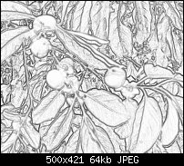 Click image for larger version. 

Name:	Backyardnuttree98Pen.jpg 
Views:	1123 
Size:	63.8 KB 
ID:	20717
