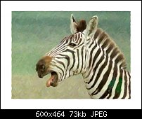 Click image for larger version. 

Name:	Zebra_web.jpg 
Views:	1150 
Size:	72.8 KB 
ID:	21430