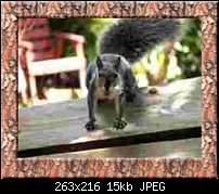 Click image for larger version. 

Name:	PineBarkFrameWsquirrel-resized.jpg 
Views:	1487 
Size:	14.5 KB 
ID:	21494