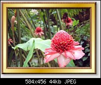 Click image for larger version. 

Name:	pic-frame3.jpg 
Views:	765 
Size:	44.4 KB 
ID:	21521