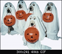 Click image for larger version. 

Name:	halloween_dogs.gif 
Views:	279 
Size:	39.6 KB 
ID:	21646