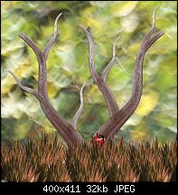 Click image for larger version. 

Name:	Tree Bug.jpg 
Views:	357 
Size:	31.7 KB 
ID:	22736