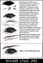 Click image for larger version. 

Name:	Eye Tutorial.jpg 
Views:	269 
Size:	171.4 KB 
ID:	23137