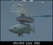 Click image for larger version. 

Name:	Big-fish.jpg 
Views:	191 
Size:	10.5 KB 
ID:	23273