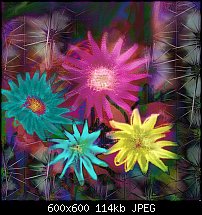 Click image for larger version. 

Name:	Cactus Flower3.jpg 
Views:	352 
Size:	114.5 KB 
ID:	24470