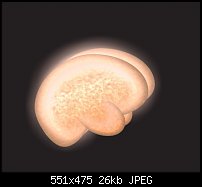 Click image for larger version. 

Name:	glow brain.jpg 
Views:	160 
Size:	25.5 KB 
ID:	25805